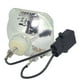 Remplacement Original de Lampe de Projecteur Osram pour Epson VS200 (Ampoule Seulement) – image 5 sur 5