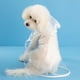 thumbnail image 4 of Chubasquero transparente impermeable para perros de primavera y verano, impermeable para perros pequeños, ropa para mascotas, 4 of 6