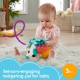 thumbnail image 2 of Peluche Fisher-Price Cuddle n' Snuggle Hedgehog durante más de 3 meses, 2 of 6