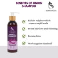 thumbnail image 2 of Senshades 100% Natural Onion Shampoo (Pack Of 1 (200Ml) | Controls Dandruff & Hair Fall With Plant Keratin | Silicone & Paraben Free | Unisex, 2 of 5