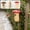 White A, variant on AYktou Wood Bird Houses for Outside, Hummingbird House Hanging Birdhouse Backyard Nesting Box Garden Birds Shelter for Small Birds, Bluebird Houses Outdoor Garden Decor & Bird Lover Gift