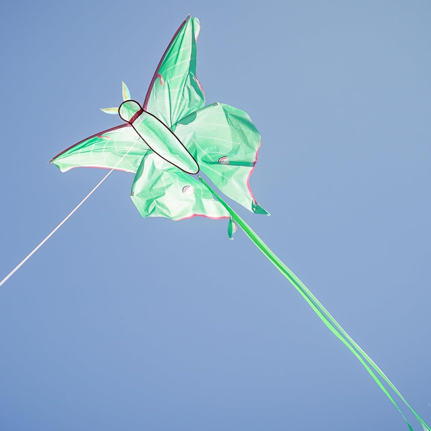 In the Breeze 3398 — Luna Moth Kite — Colorful Easy-Flying Kite with Color-Coordinated Tails, Kite Line Included