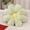 B, variant on Product Classification Pillow 2 Flower Shaped Cushion & Sofa Pillow for Home and Comfort
