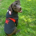 thumbnail image 2 of Marvel Spiderman Officially Licensed Pet Hoodies - I Am Miles Morales Pet Fleece Hoodie,X-Large, 2 of 7