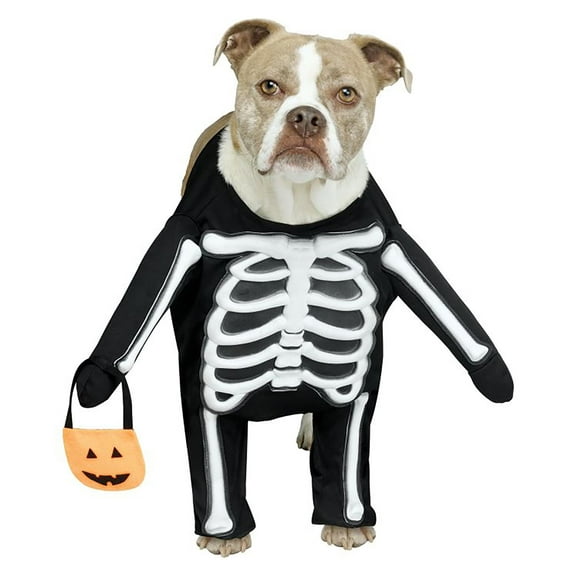 Funworld Skele-Dog Pet Costume | Small Unisex