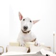 thumbnail image 1 of Miniature Bull Terrier Wall Decal by Wallmonkeys Peel and Stick Graphic (48 in H x 32 in W) WM235873, 1 of 4