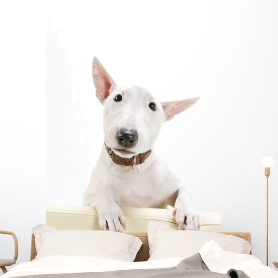 Miniature Bull Terrier Wall Decal by Wallmonkeys Peel and Stick Graphic (48 in H x 32 in W) WM235873
