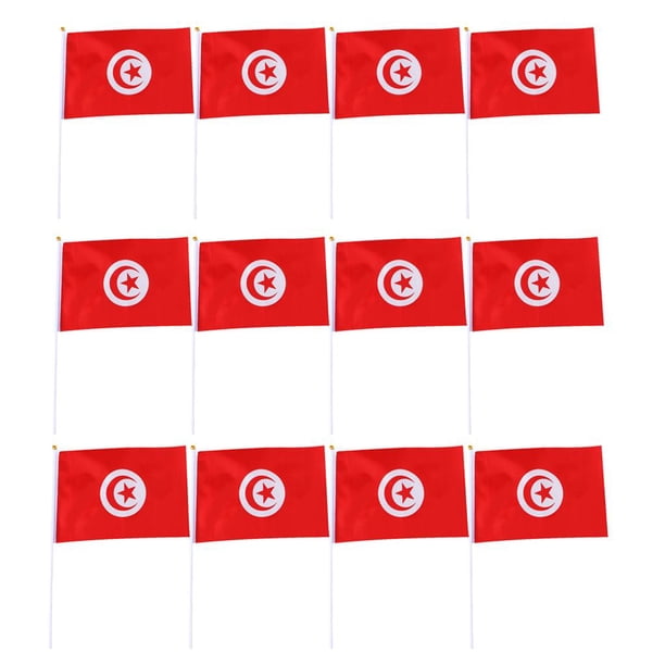 Bandera de Alemania 12 | Copa Del Mundo 2018 | Bandera de Palo | Bandera para Niños BRD | Bandera | Bandera de Alemania Túnez Sunnimix Banderas que agitan de la mano