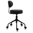 thumbnail image 2 of DR.LOMILOMI Pneumatic Swivel Rolling Stool Chair with Backrest 503 KAI, 2 of 5