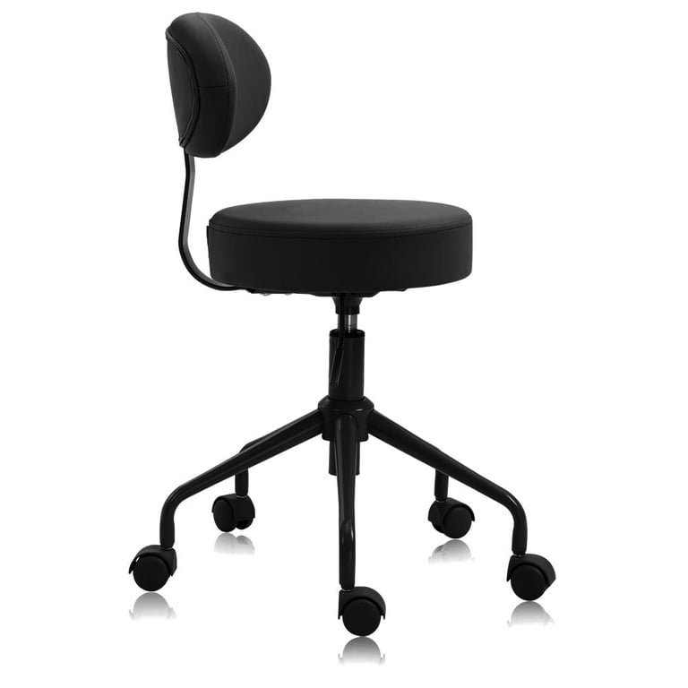 DR.LOMILOMI Pneumatic Swivel Rolling Stool Chair with Backrest 503