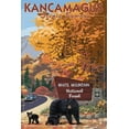 thumbnail image 4 of White Mountain National Forest, New Hampshire, Kancamagus Scenic Byway (1000 Piece Puzzle, Size 19x27, Challenging Jigsaw Puzzle for Adults and Family, Made in USA), 4 of 4