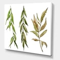 thumbnail image 3 of Designart ' Three Willow Branches On White ' Farmhouse Canvas Wall Art Print, 3 of 4