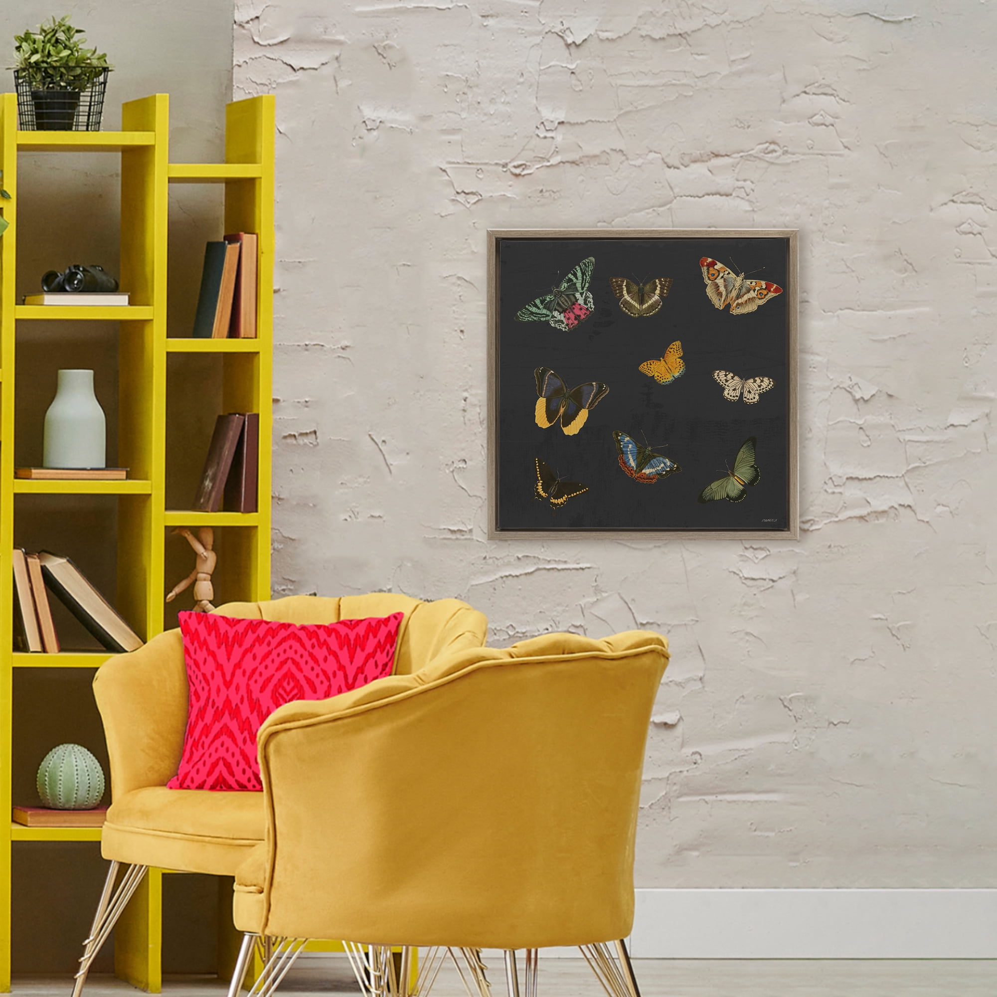 Stupell Industries Butterfly & Moth Collection Brown Framed Floater Canvas Wall Art, design by Dan Meneely