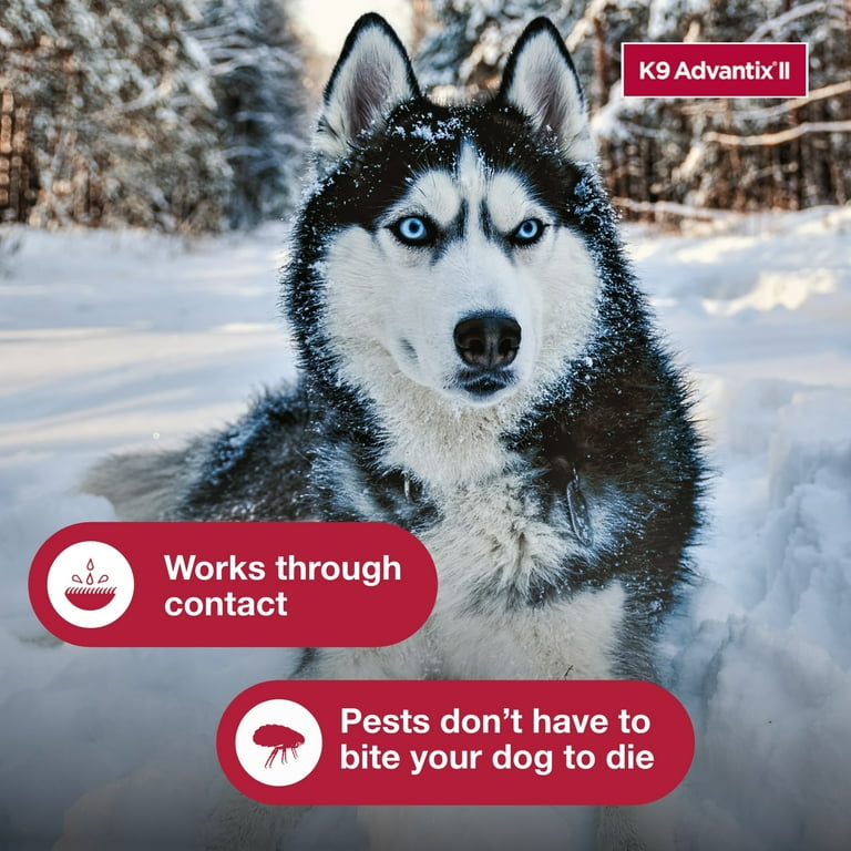 Advantix ii extra large dog 6 pack hot sale