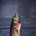 thumbnail image 1 of Cebo suave de rana con anzuelo Señuelos de pesca artificiales de agua dulce (verde claro) Tmvgtek pescar, 1 of 8