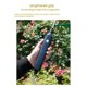 thumbnail image 2 of Electric Sprayer Garden Automatic Atomization USB Rechargeable Plant Sprayer Bottle Sprinkler Wateri, 2 of 5
