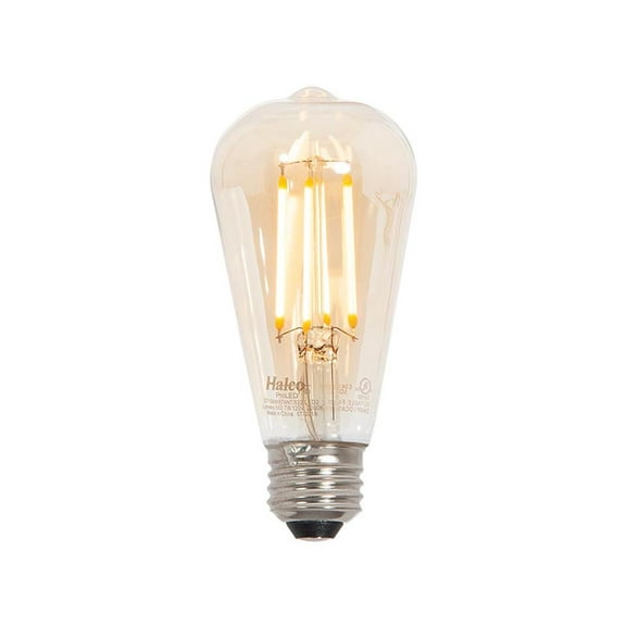 B&P Lamp® Medium Base E26 LED Edison Bulb with Vintage Style Filament, ST19 Shape