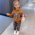 thumbnail image 5 of HCYSFG Cheetah Print Outfit Sets For Girls Leopard Print 2 Piece Tops Hooded Long Sleeve Butterfly Sweatshirt Jogger Pants Bottoms, 5 of 9