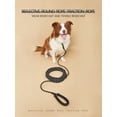 thumbnail image 3 of Pet Training Leash, 3 of 4