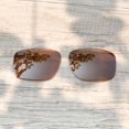 thumbnail image 3 of Walleva Brown Polarized Replacement Lenses for Oakley Sliver F OO9246 Sunglasses, 3 of 7