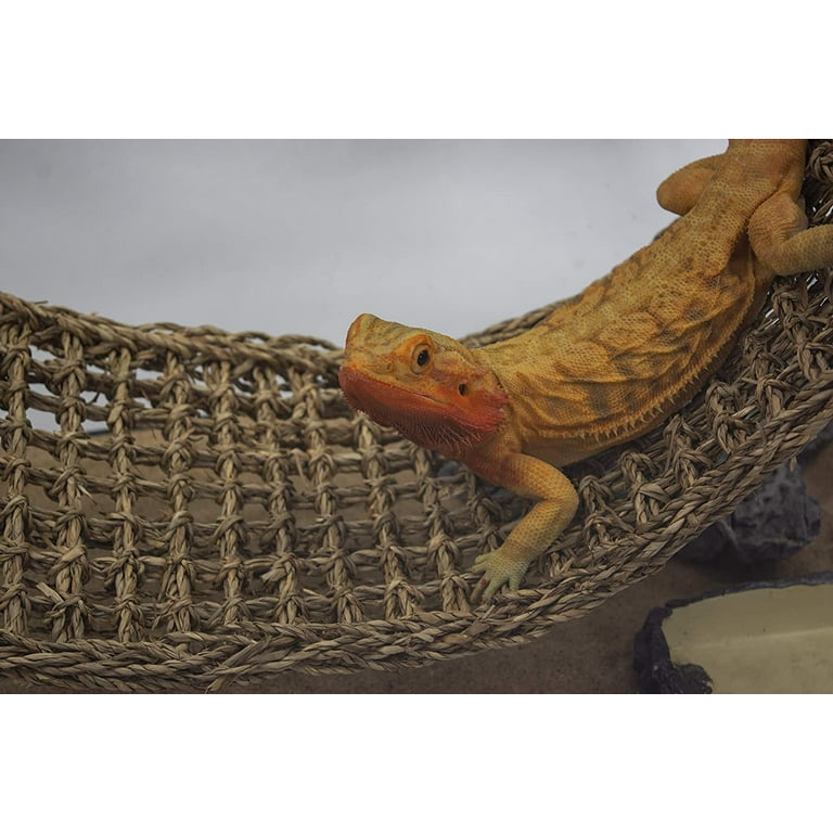 Penn plax reptology lizard lounger hot sale
