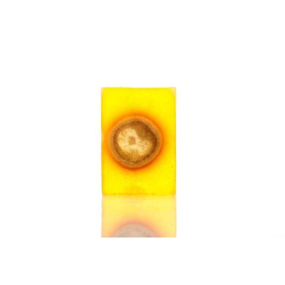 SABUN CO. Ginger & Lemon Soap - 100% Handcrafted Ginger Oil Natural Bar Soap - Vegan, Moisturizing Face, Body & Hair Bar [4.23 oz - 120 gr]