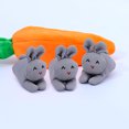 thumbnail image 5 of Monedero de zanahoria con tres conejos, regalo de conejito de Pascua, monedero de zanahoria, adorno divertido, 3 conejos en 3 colores y una zanahoria TUNC Sencillez, 5 of 5
