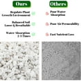 thumbnail image 4 of 8 Quarts Organic Horticultural Perlite for Plants Indoor- Natural Horticultural Soil Additive Conditioner Mix for Improves Drainage, Ventilation and Root Growth, 4 of 7