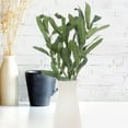 thumbnail image 3 of FOMIYES Olive Branches Faux for Home Decor Wedding Decor Indoor and Outdoor Decoration 1 Pc, 3 of 8