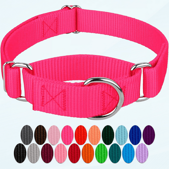 Hot Pink Martingale Heavy Duty Nylon Dog Collar - 21 Vibrant Color Options (1 Inch Width, Medium)