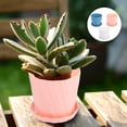 thumbnail image 6 of 3Pcs Plastic Round Flowerpots Plant Garden Planter with Planter Saucers, 6 of 8