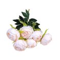 thumbnail image 1 of Wosthever Seda Fácil De Limpiar Ecológico - Ramo De Novia Con Flores Artificiales Decoración De Bajo Mantenimiento Decoración champán, 1 of 6