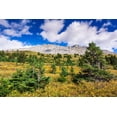 thumbnail image 2 of Bishop, Russ 24x17 White Modern Wood Framed Museum Art Print Titled - Nigel Peak from Wilcox Ridge-Columbia Icefields-Jasper National Park-Alberta-Canada, 2 of 4