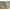 Sage Green, variant on Newbridge Blue Ribbons and Bows Damask 52 x 52 inch Square Fabric Tablecloth for Party