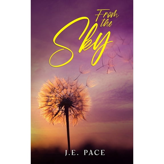 From the Sky, (Paperback)