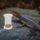 thumbnail image 1 of unbranded 4Ud De Para Reptiles Con Transparente Para Enriquecimiento, 1 of 8
