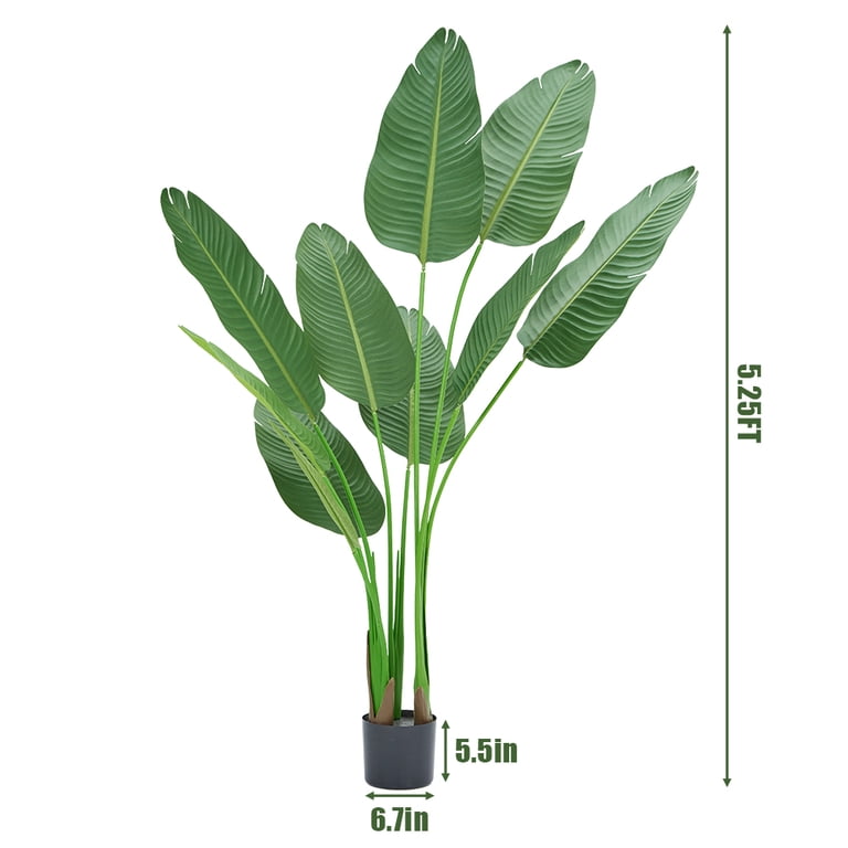 book on poisonous plants Poisonous Plants Book Shaped Vase