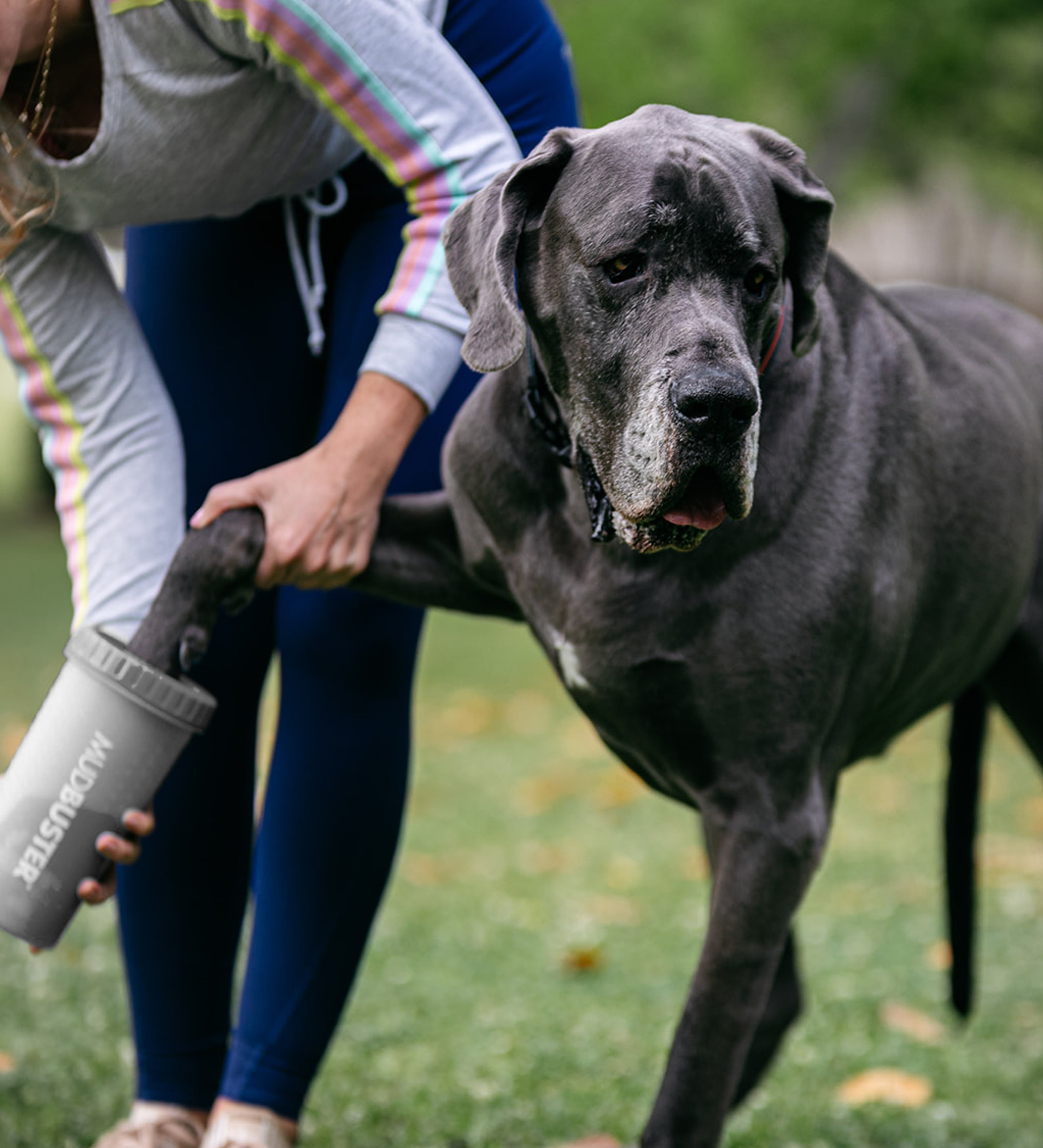 Dexas MudBuster Portable Dog Paw Washer and Cleaner, Large, Light Gray