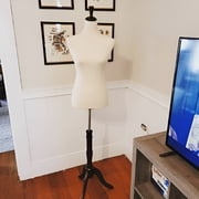 Bonnlo Upgraded Female Dress Form, Mannequin Torso Body with Adjustable Rubber Wood Stand for Dress Jewelry Display (White, 6-8)