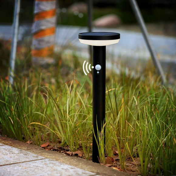 Modern Driveway Lights