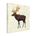 thumbnail image 2 of Trademark Fine Art 'Golden Nature II' Canvas Art by James Wiens, 2 of 3