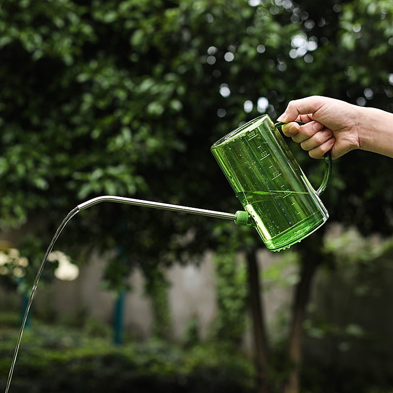 Arrosoir 1 Litre Acier Inoxydable Noir Avec Bec Long Et Poignée Bois - Pour Plantes D'Intérieur