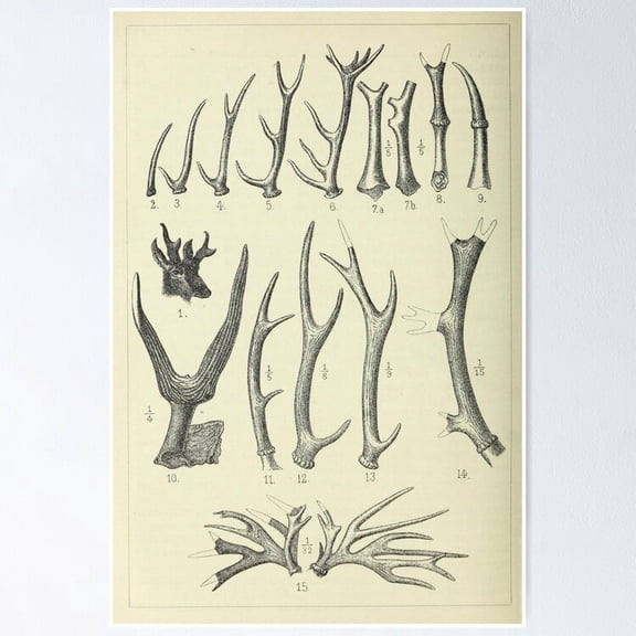 Poster Vintage Antlers Vintage Wall Arttrendy Retro Print Positive Quote Poster Room Decor Wall Art , Poster Only