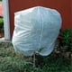 thumbnail image 4 of Winter Protection Frost Protection For Palm Plants Cord 140x200cm, 4 of 5