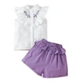 thumbnail image 2 of TMOYZQ 2 Piece Toddler Girl Clothes Ruffle Floral Embroidery Shirt and Shorts Set, 2 of 8