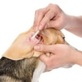 thumbnail image 4 of 6 Inch Long Cotton Swabs for Medium and Large Pets, Ears Cleaning for Makeup 200pcs, 4 of 6