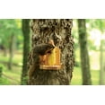 thumbnail image 3 of Audubon Cedar Corn Cob Critter Feeder 1 ports, 3 of 8