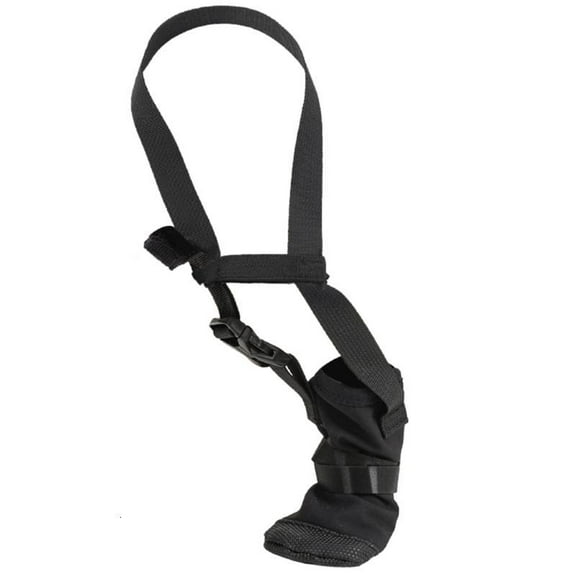 Soft Dog Boot Waterproof Dog Shoe Wound Healing Footwear for Forepaw Recovery