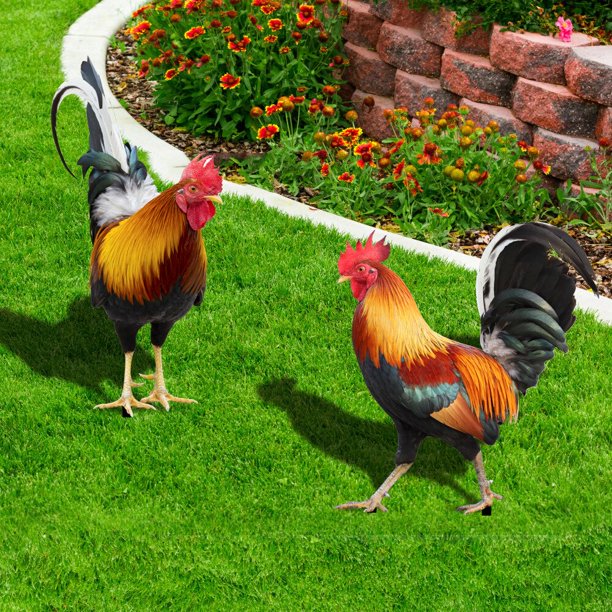Rooster Statue Decorative Stakes Realistic Life-like Garden Statue Acrylic Chicken Art Sculpture for Patio Backyard Decorations2United Kingdom He Qiyong unisex