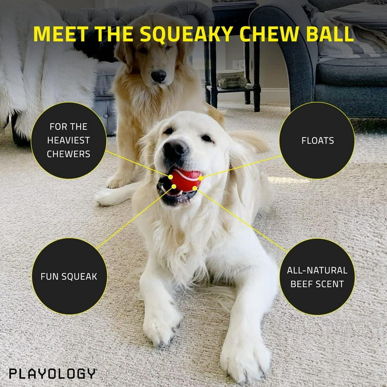 Playology Peanut Butter Scent Squeaky Chew Ball Dog Toy, X-Large – The  Platinum Goods